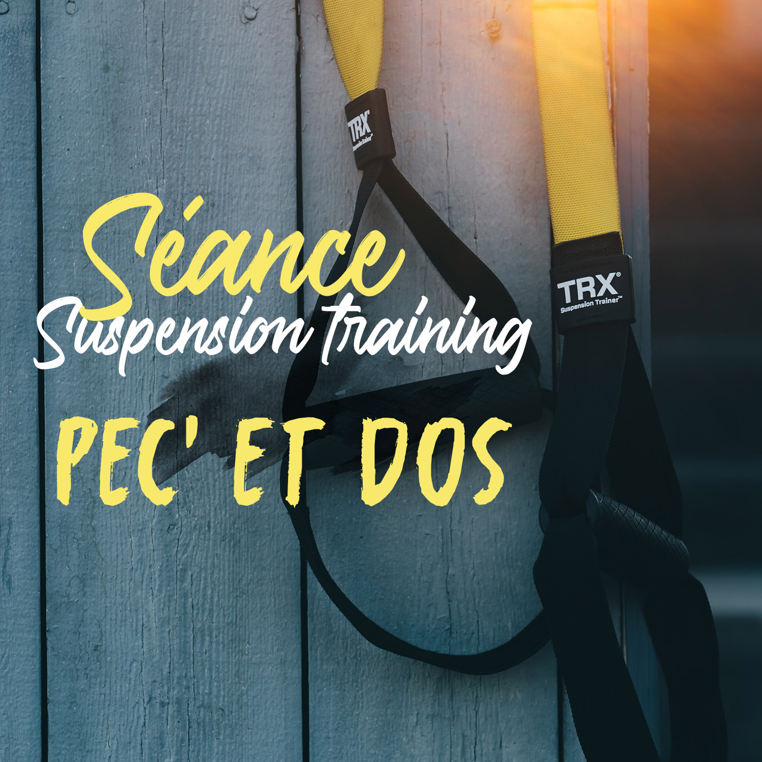 Séance suspension training (TRX) – pec’ et dos